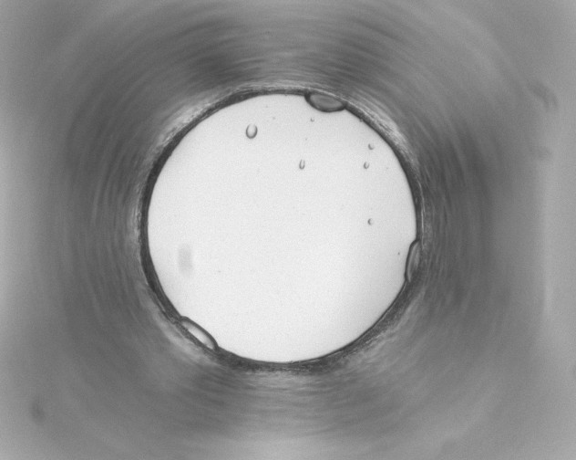 X0000115240389200911271848