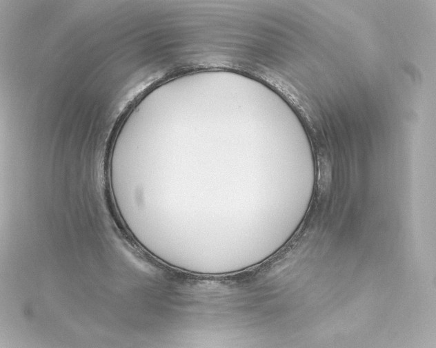 X0000115240390200911271848