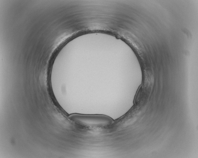 X0000115240391200911271848