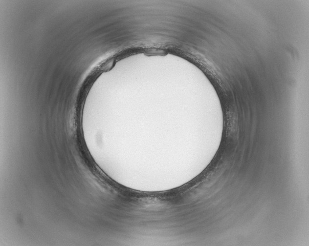 X0000115240392200911271848