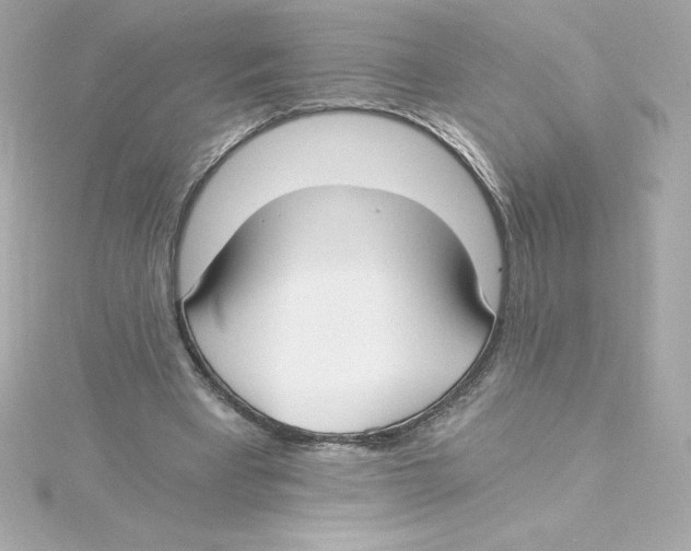 X0000115240393200911271848