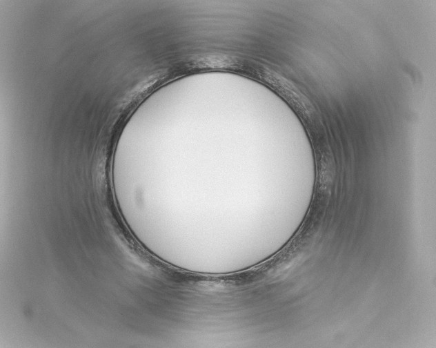 X0000115240394200911271848