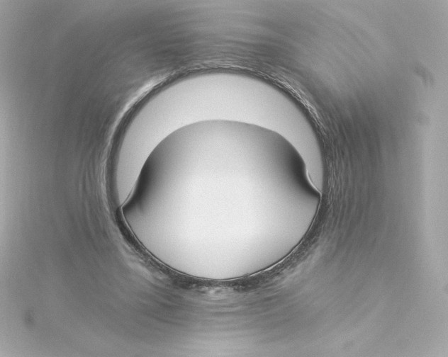 X0000115240395200911271848