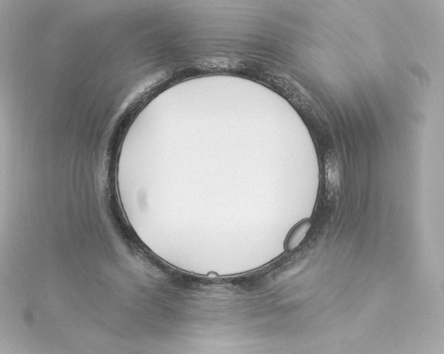 X0000115240396200911271848