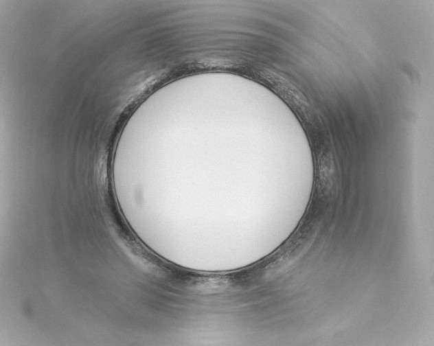 X0000115240398200911271847