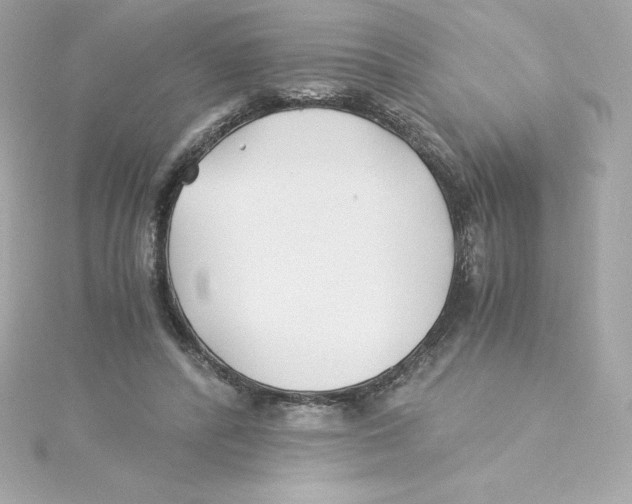 X0000115240400200911271847