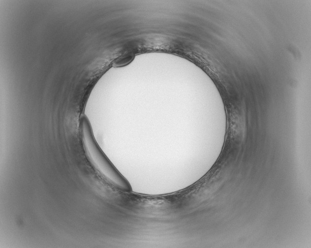 X0000115240401200911271847