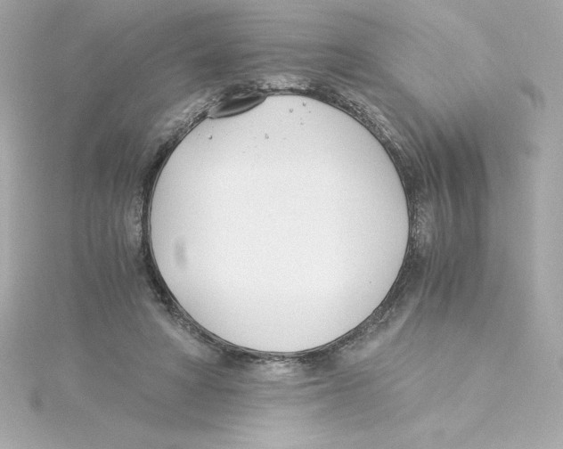 X0000115240402200911271847