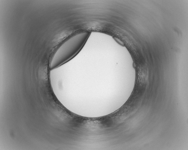 X0000115240403200911271847