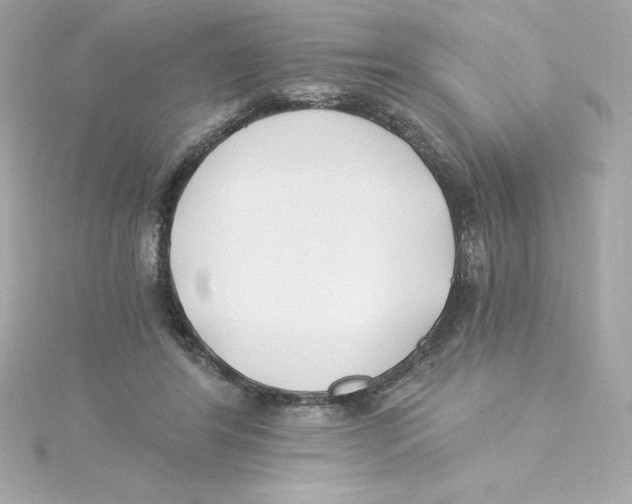 X0000115240404200911271847