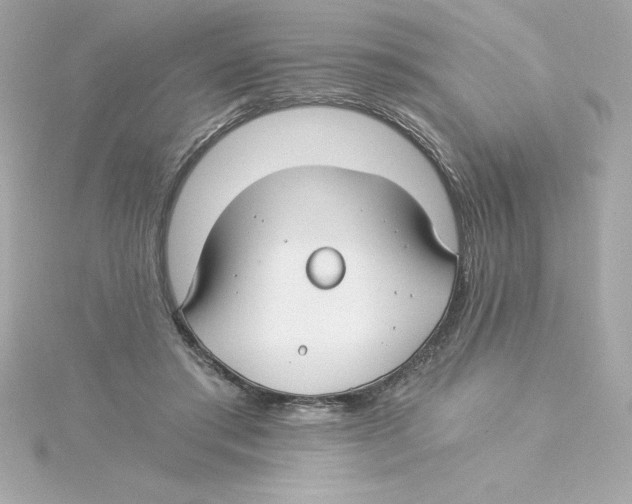 X0000115240405200911271847