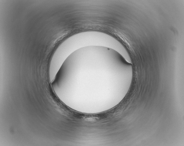 X0000115240407200911271847