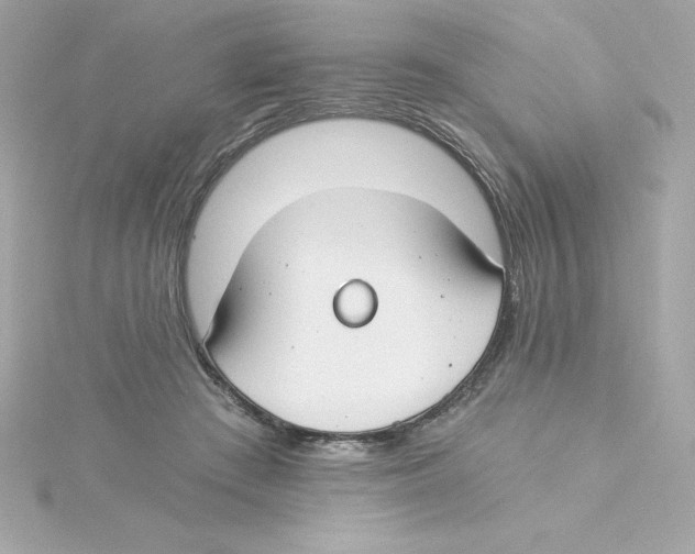 X0000115240409200911271847