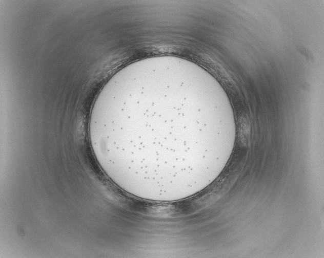 X0000115240410200911271847