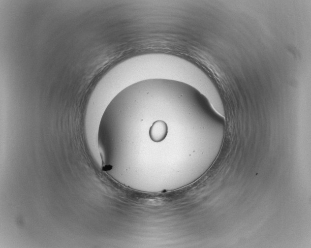 X0000115240411200911271847