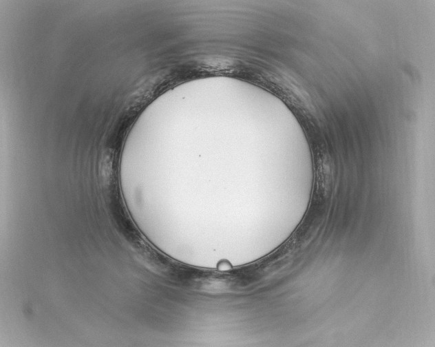 X0000115240412200911271847