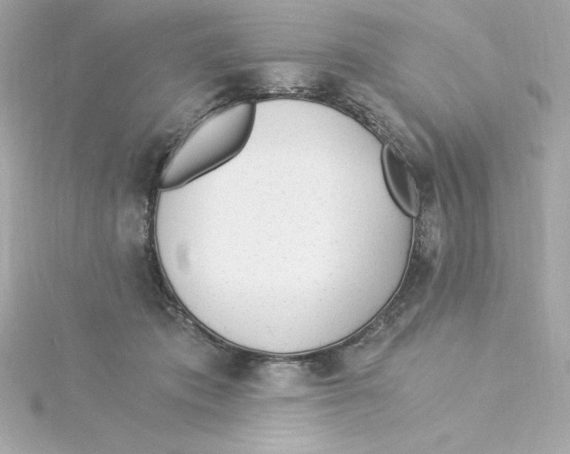 X0000115240413200911271847