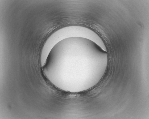 X0000115240415200911271847