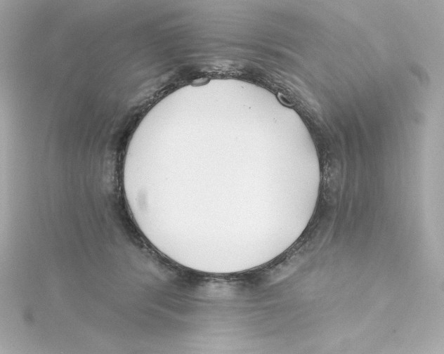 X0000115240416200911271847