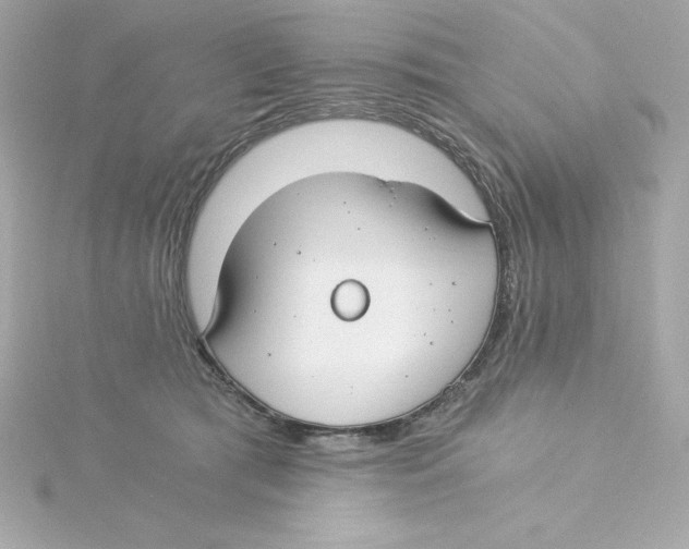 X0000115240417200911271847