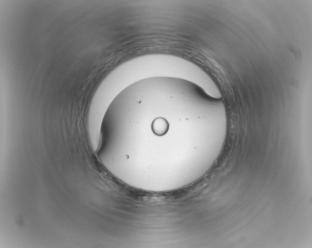 X0000115240419200911271847