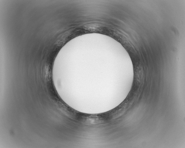 X0000115240420200911271847