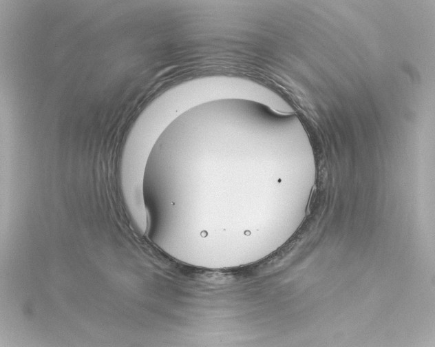 X0000115240421200911271847