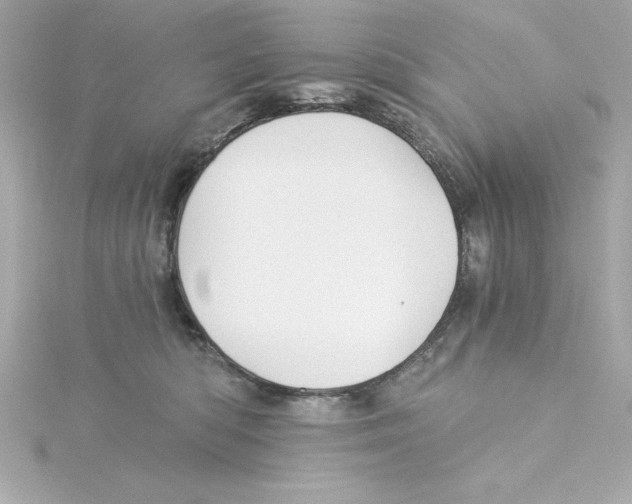 X0000115240422200911271847