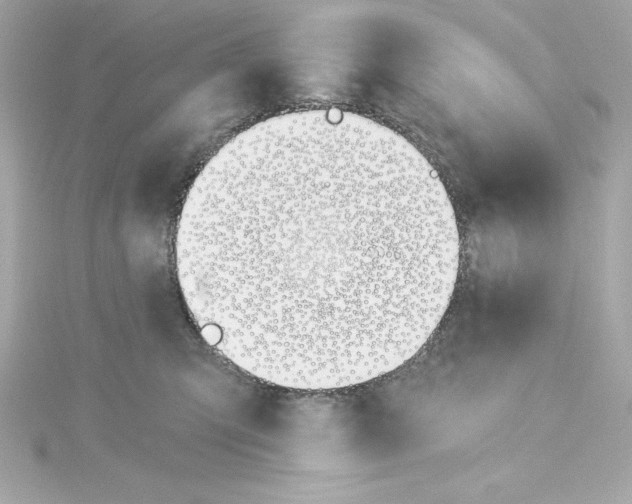 X0000115240423200911271847