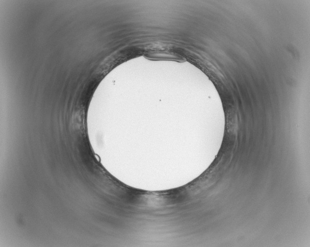 X0000115240425200911271847