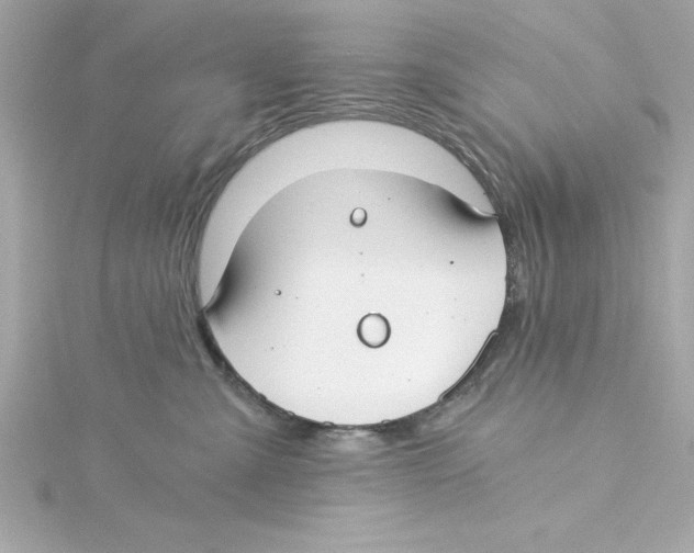 X0000115240427200911271847