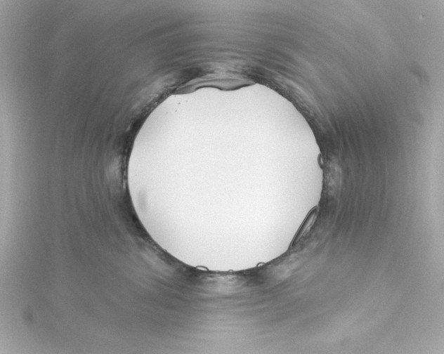 X0000115240428200911271847