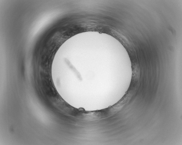 X0000115240430200911271847