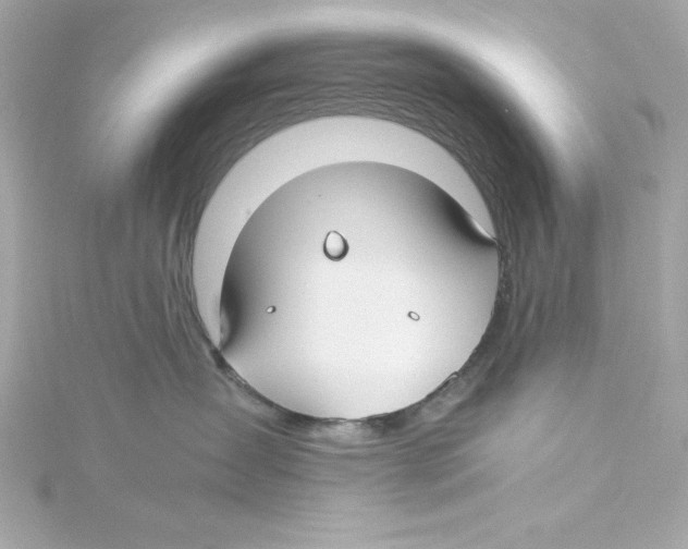 X0000115240431200911271847