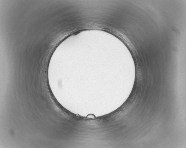 X0000115240433200911271846