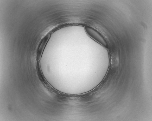 X0000115240436200911271846