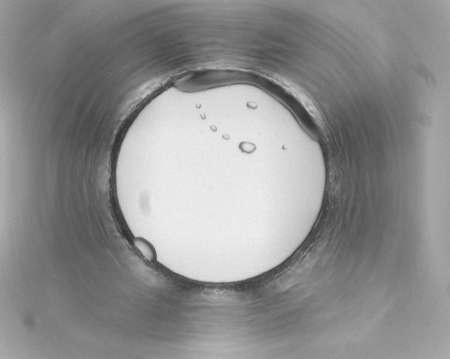 X0000115240437200911271846