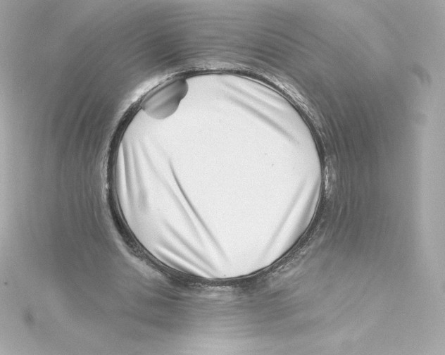 X0000115240438200911271846