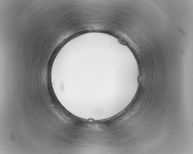 X0000115240439200911271846