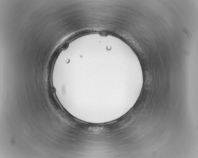 X0000115240440200911271846