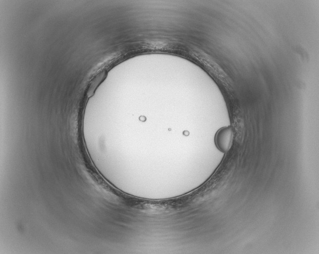 X0000115240442200911271846