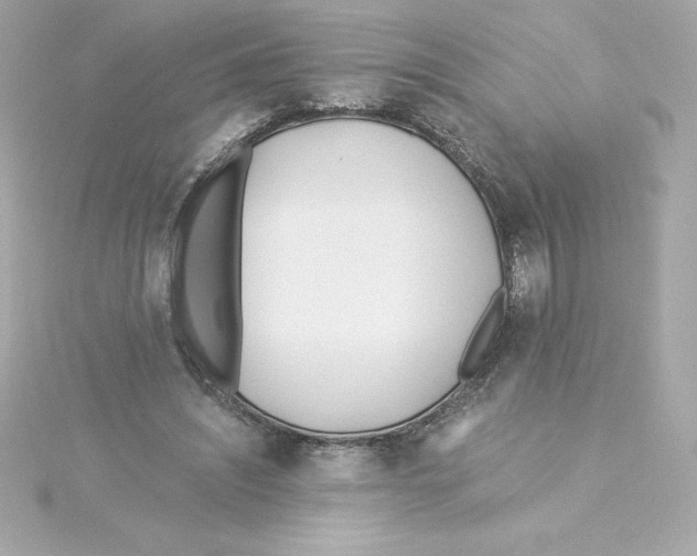 X0000115240444200911271846