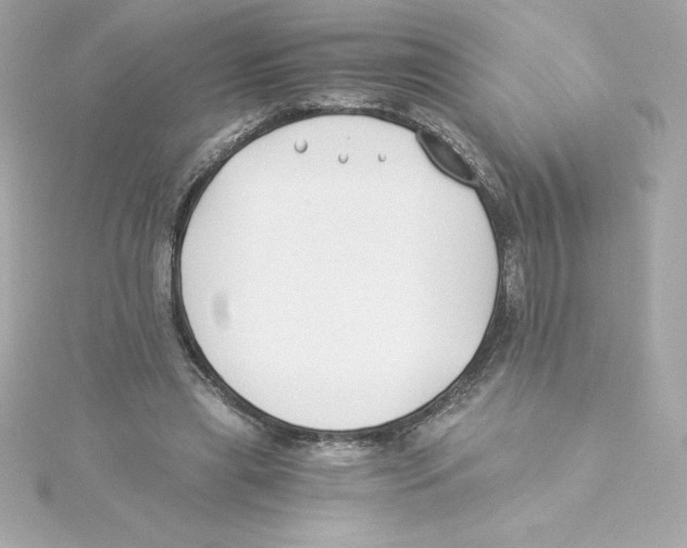 X0000115240445200911271846