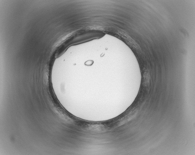 X0000115240446200911271846