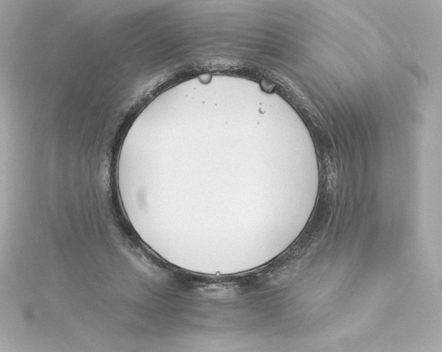 X0000115240447200911271846