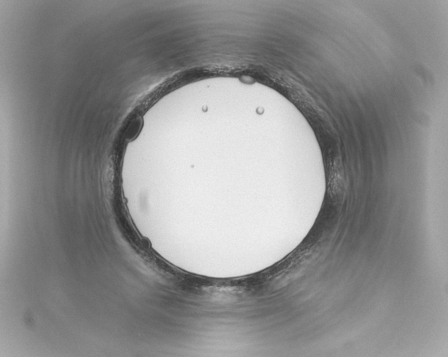 X0000115240448200911271846