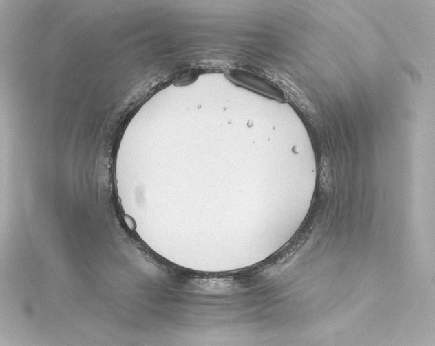 X0000115240449200911271846