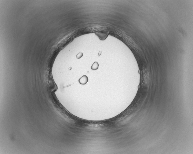 X0000115240450200911271846