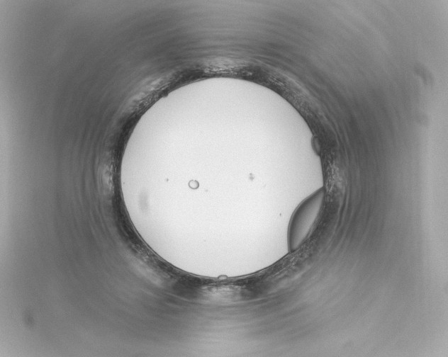 X0000115240452200911271847