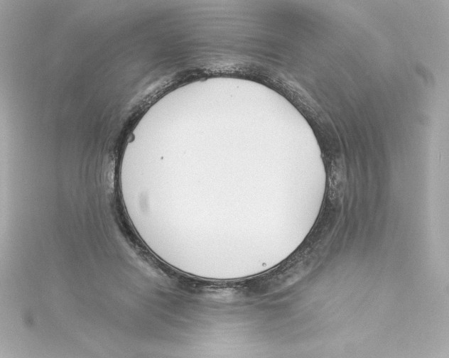 X0000115240454200911271847